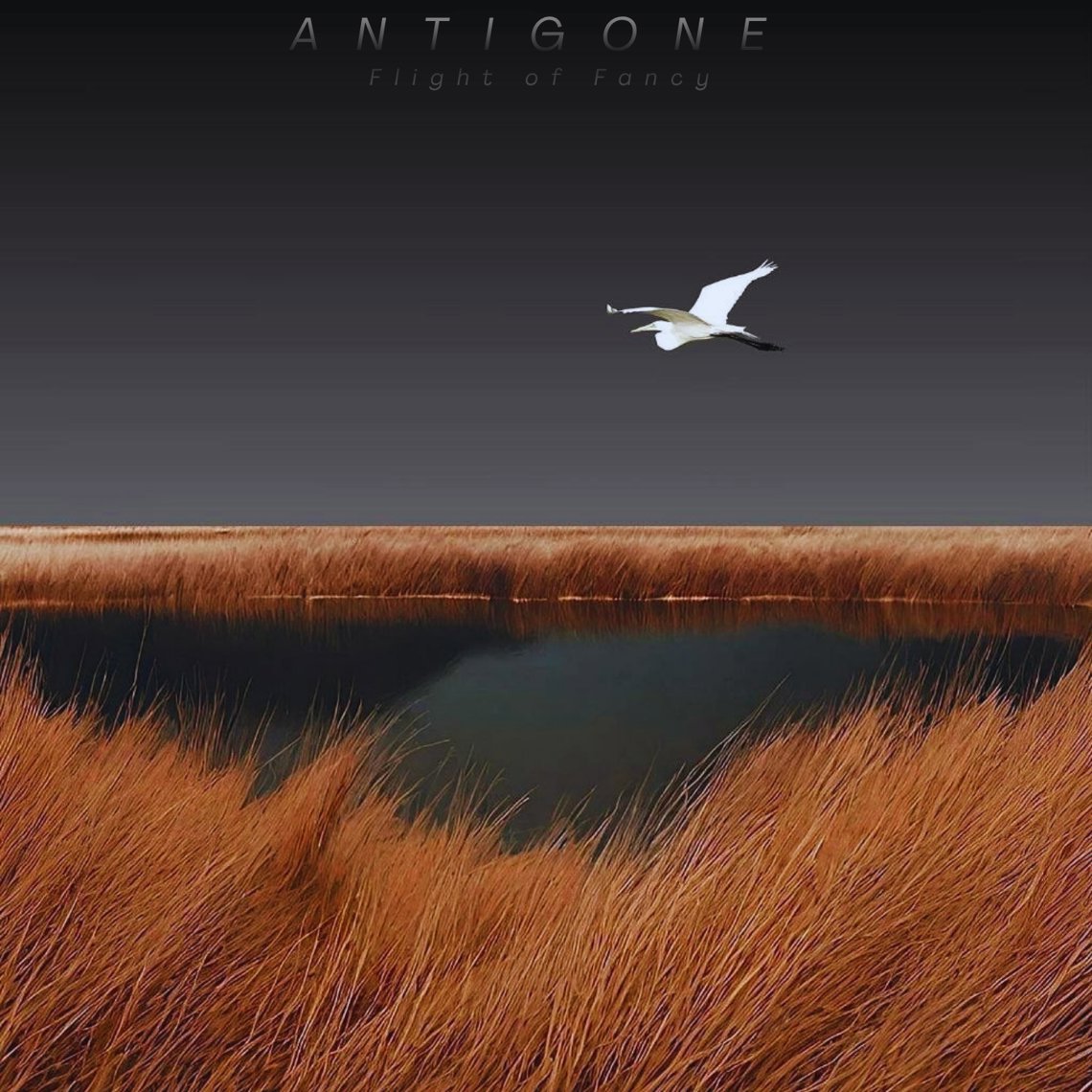 Flight of Fancy artwork