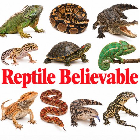 Reptile Beleivable artwork