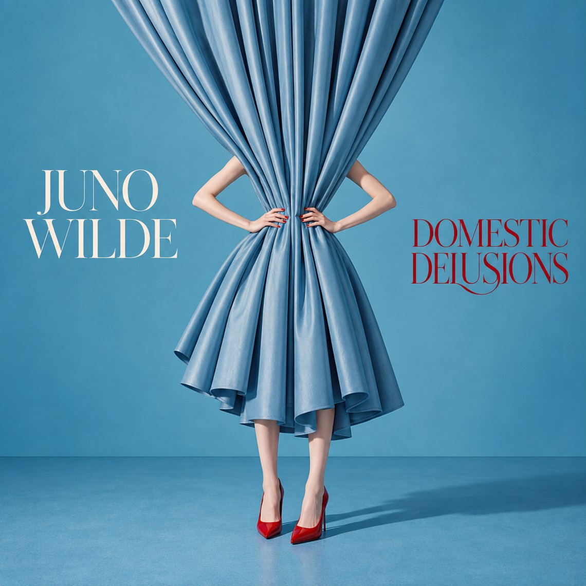 Domestic Delusions artwork