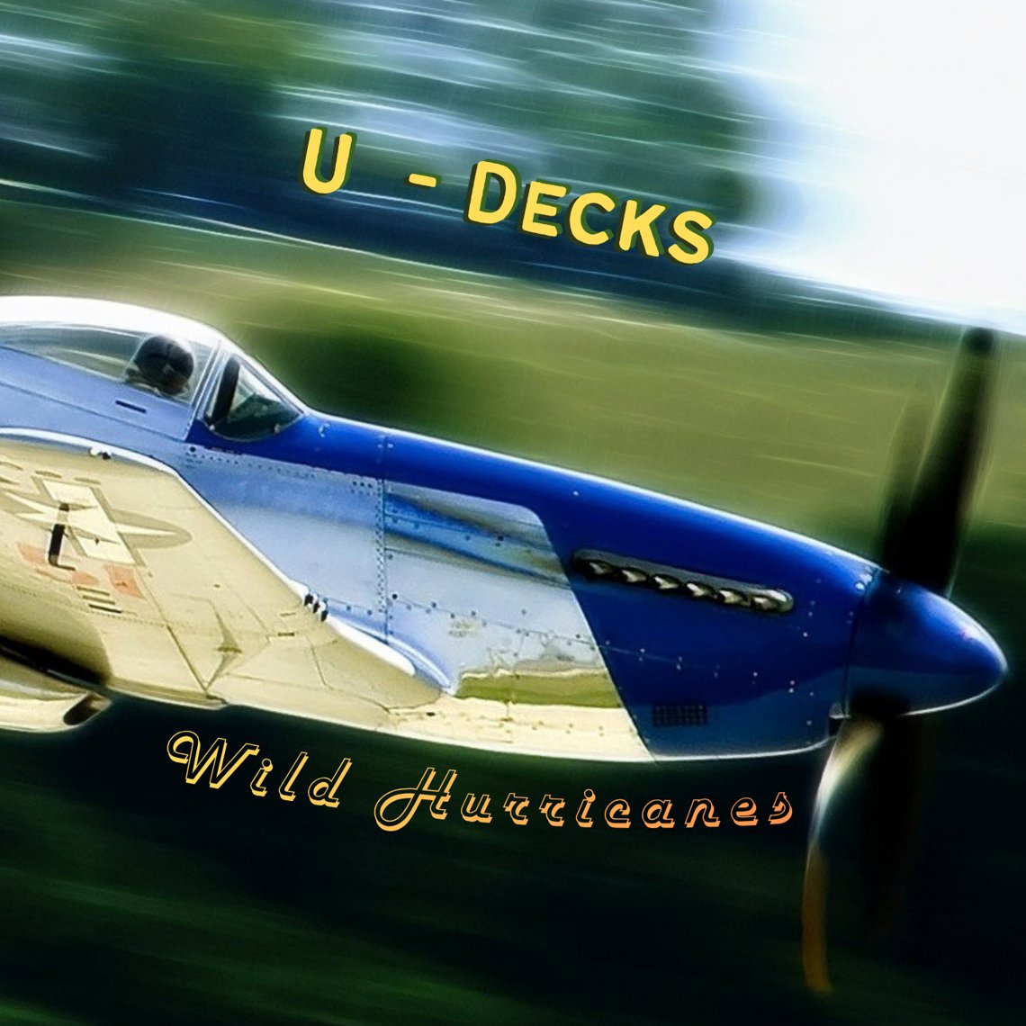 Wild Hurricanes artwork