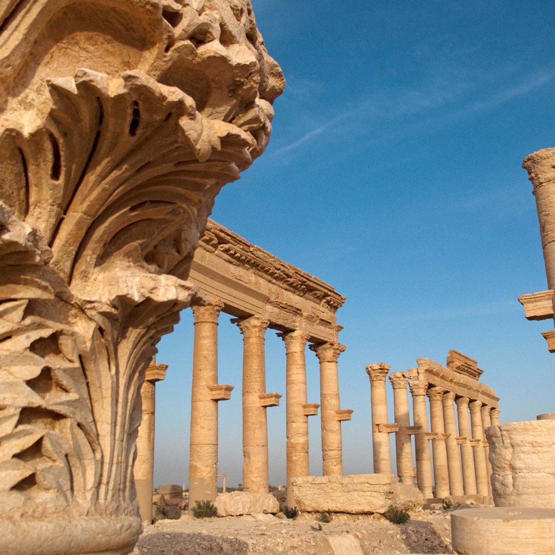Heart of Palmyra artwork