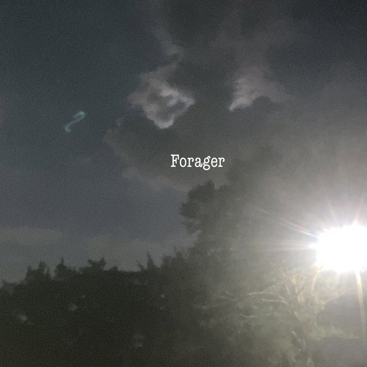 Forager EP artwork