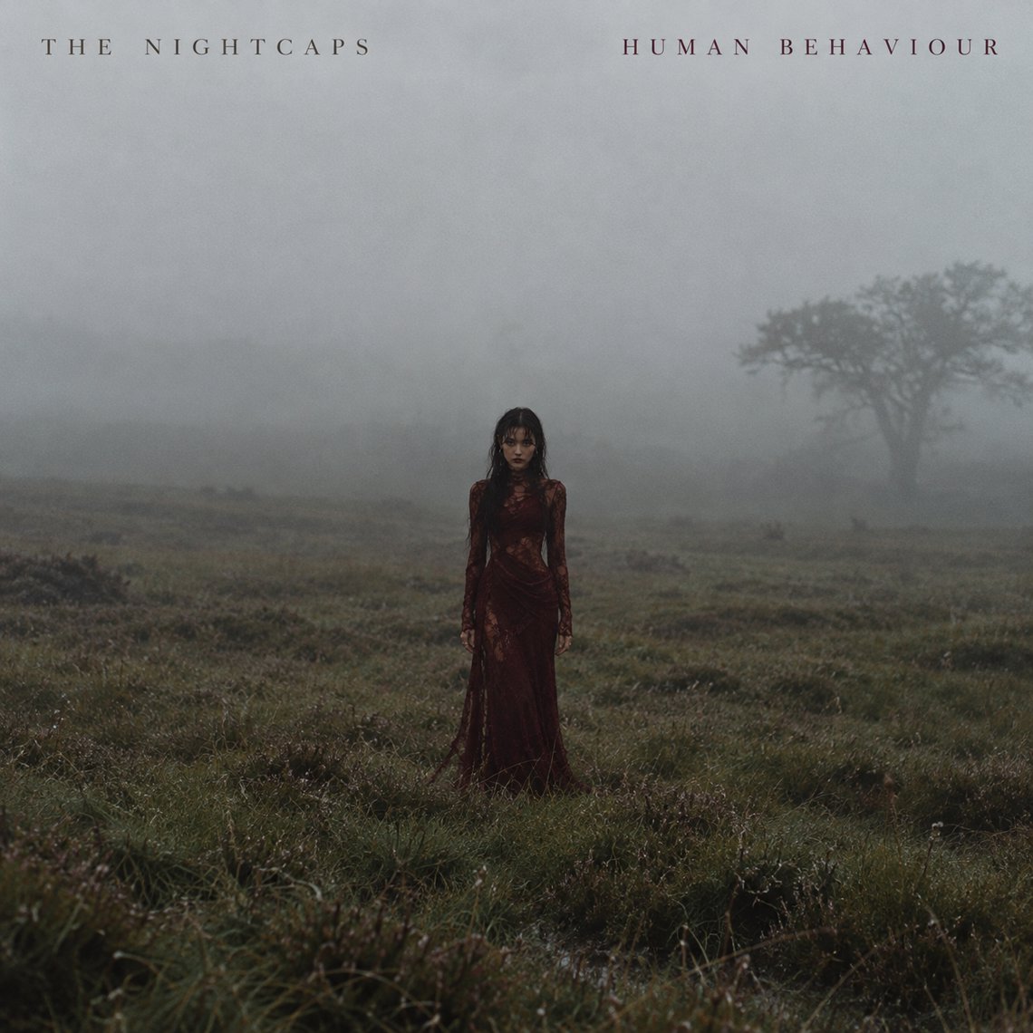 Human Behaviour artwork