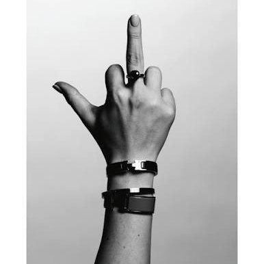 Furious Fingering artwork