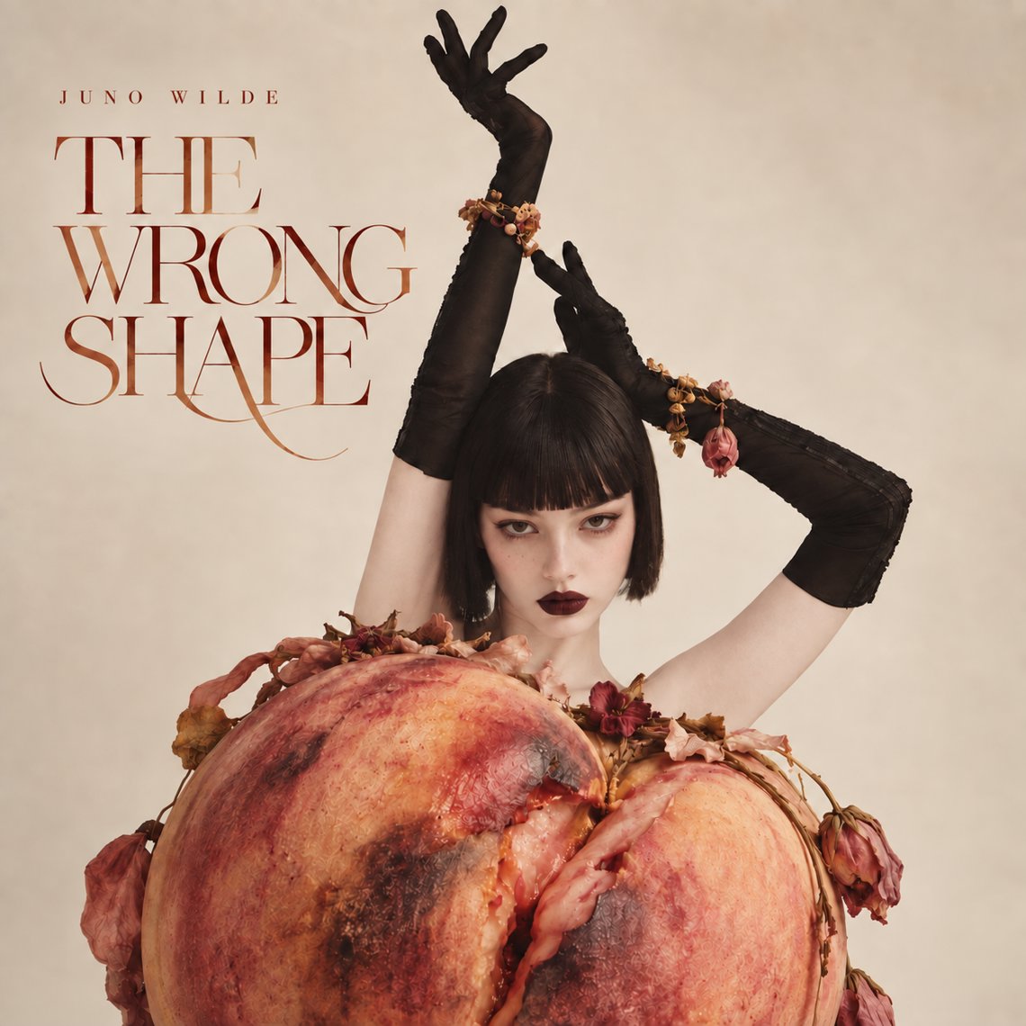 The Wrong Shape artwork