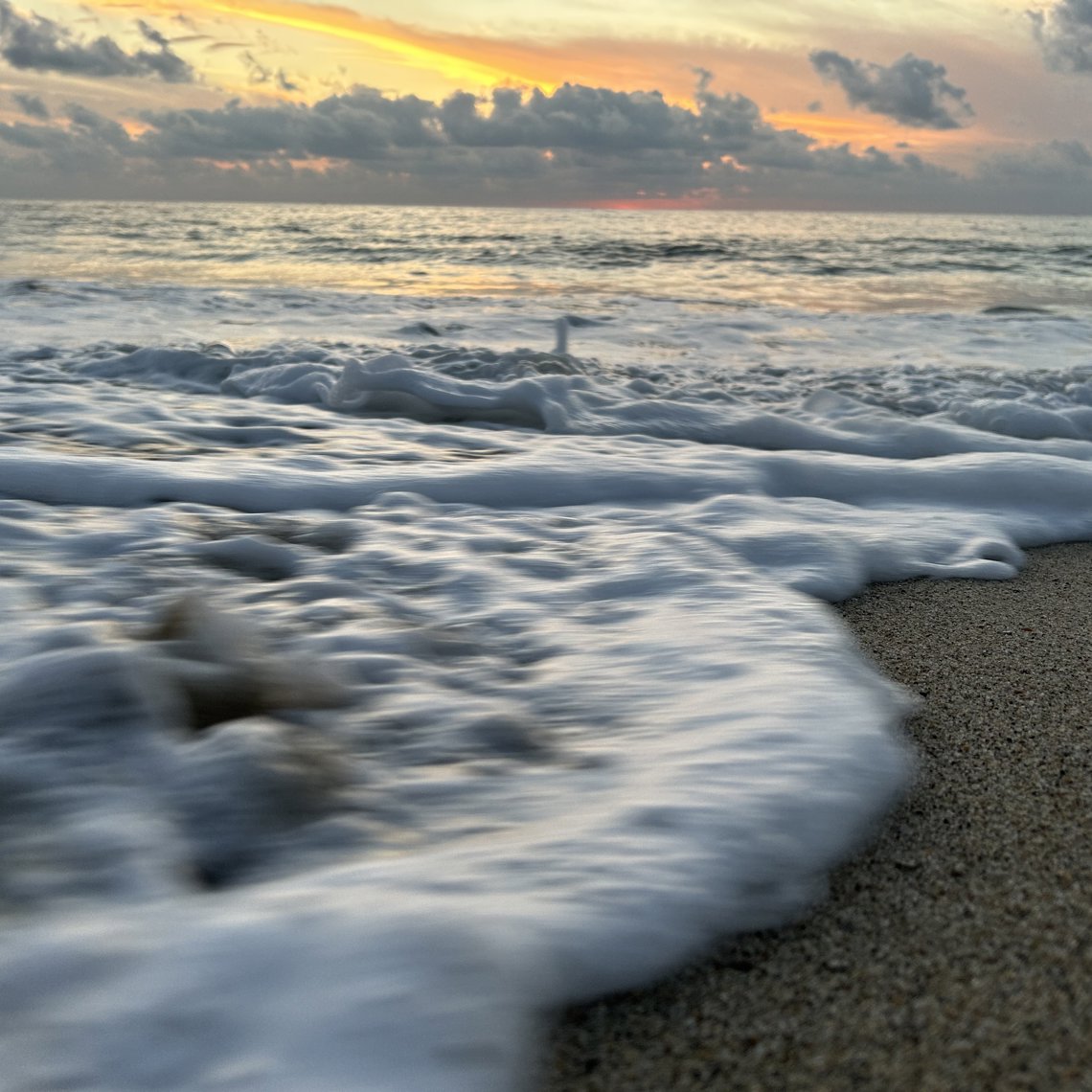 Palmeras De Oro artwork