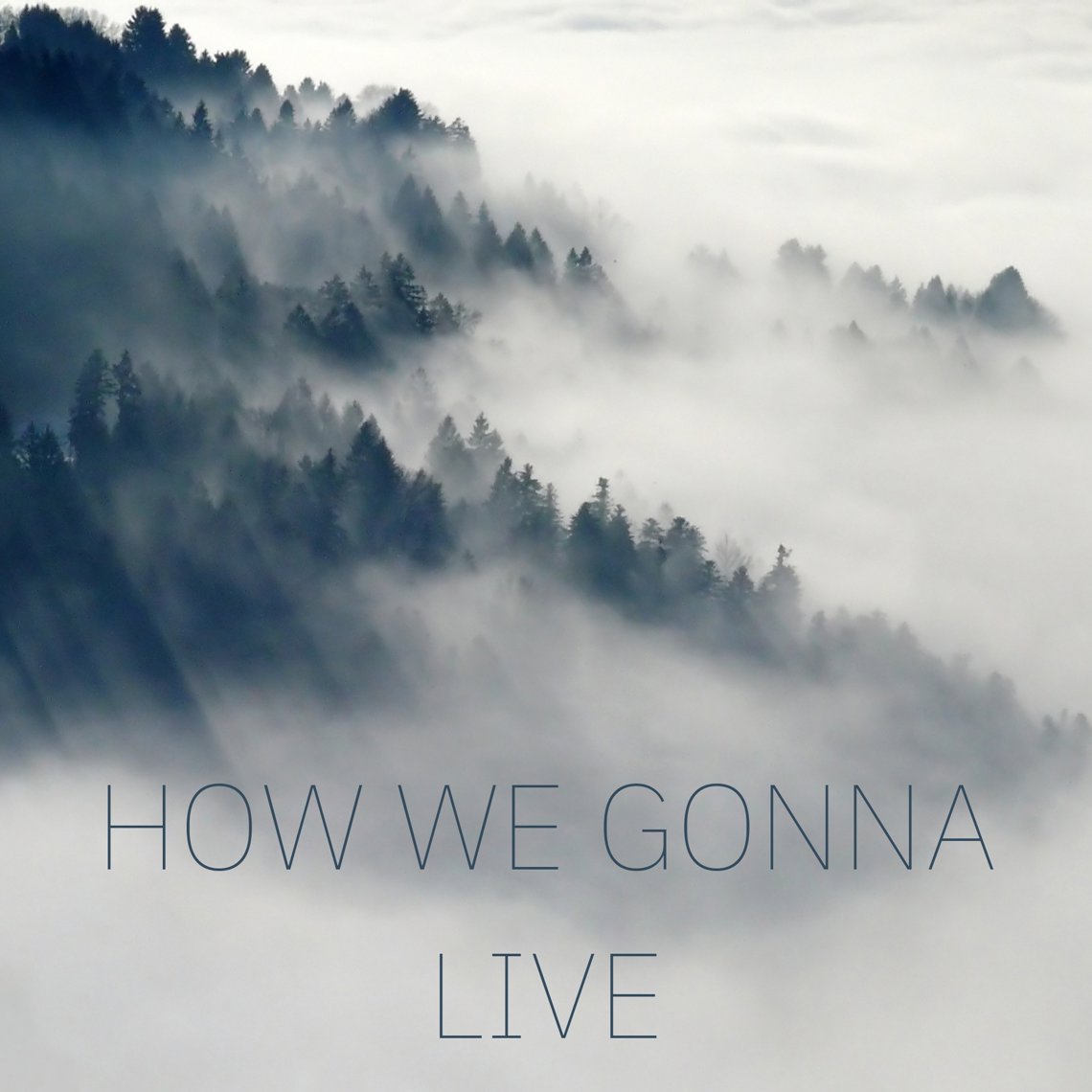 How We Gonna Live artwork