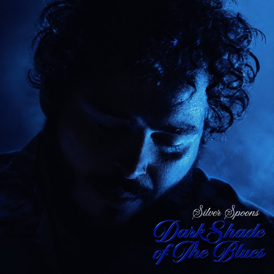 Dark Shade of The Blues artwork