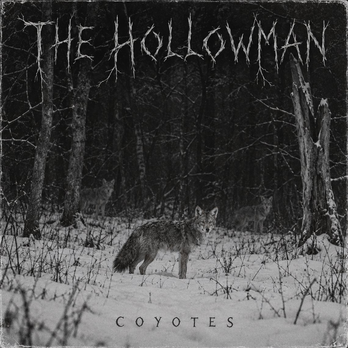 Coyotes artwork