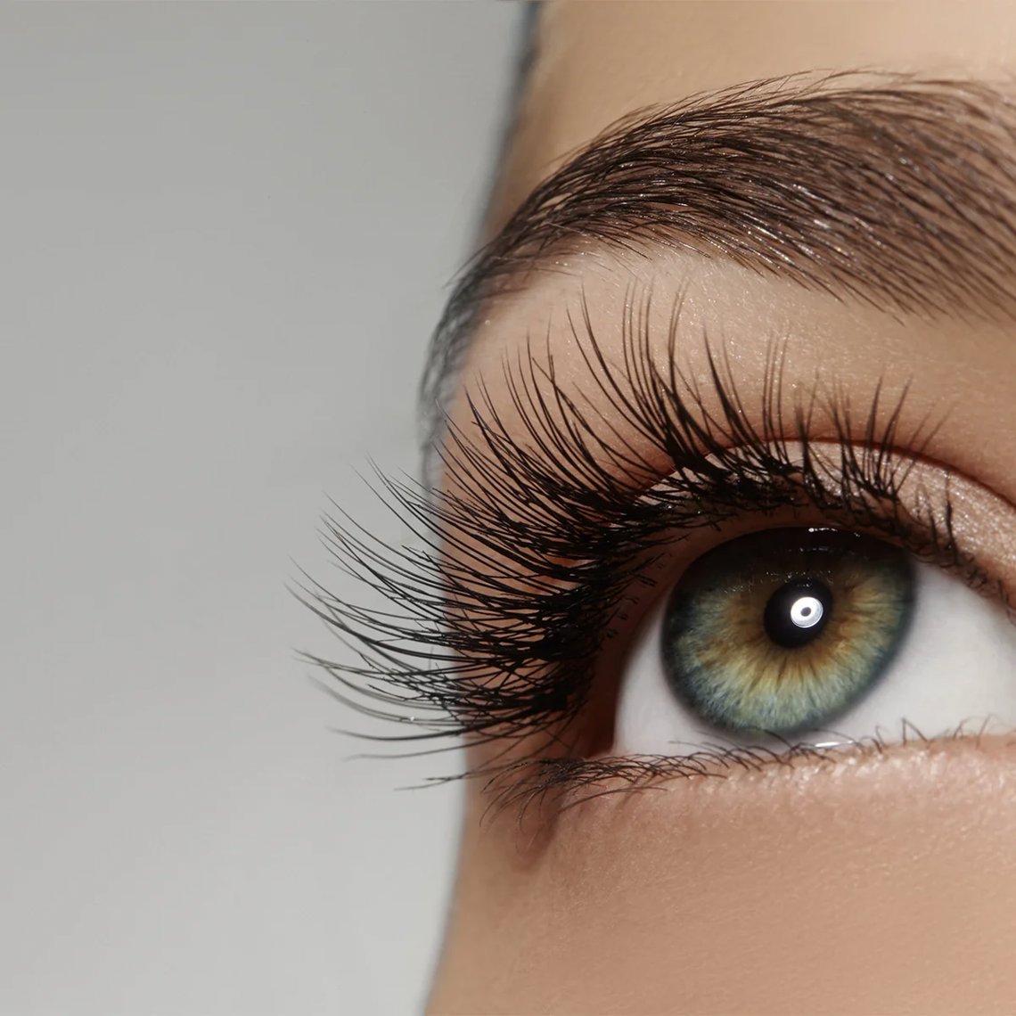 Lashes artwork