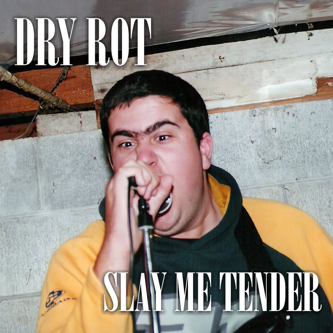 Slay Me Tender artwork