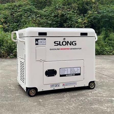 Long Slong Who? artwork