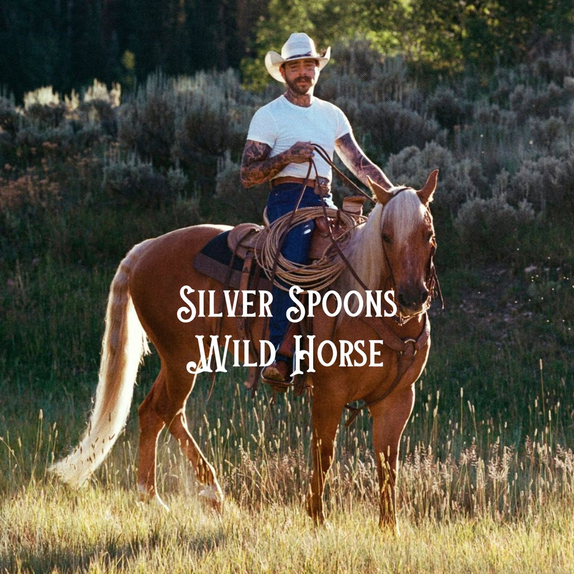 Wild Horse artwork