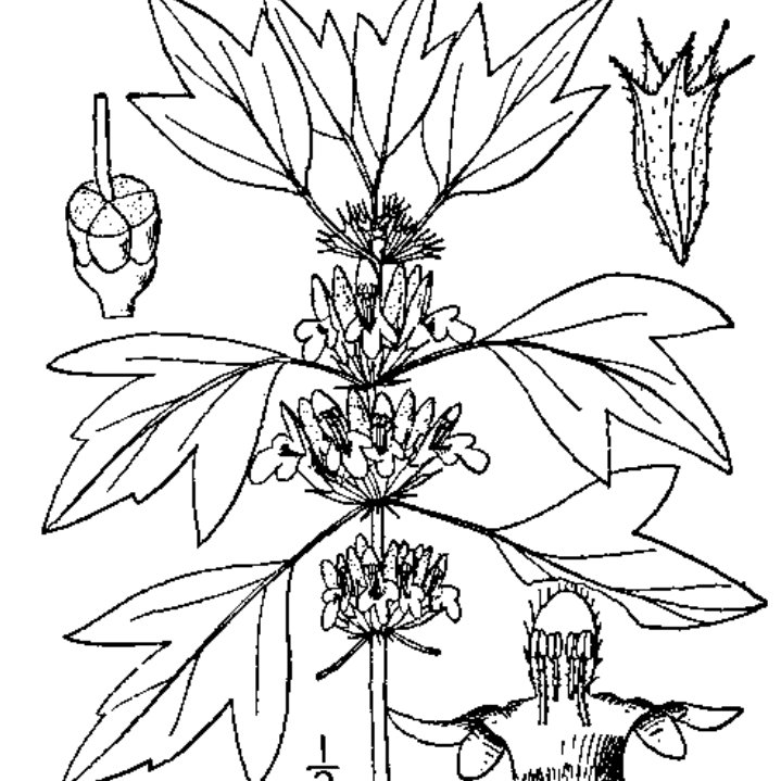 A Side artwork