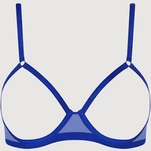 Transparent Brassiere artwork