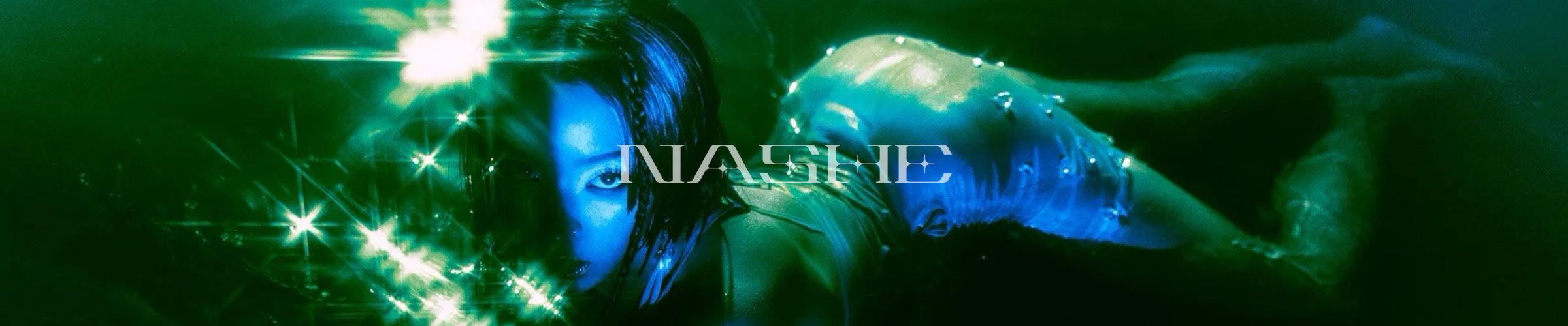 NASHE banner